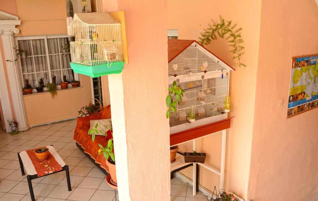 Hotel Dimitra Zeus Leptokaryá Buitenkant foto